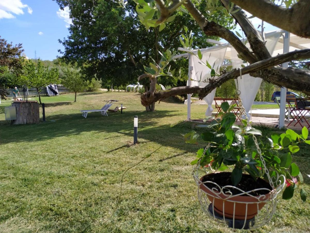 La Silvana B&B Coriano Bagian luar foto